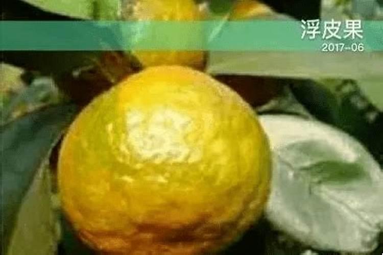 小麦锌多了怎么办？