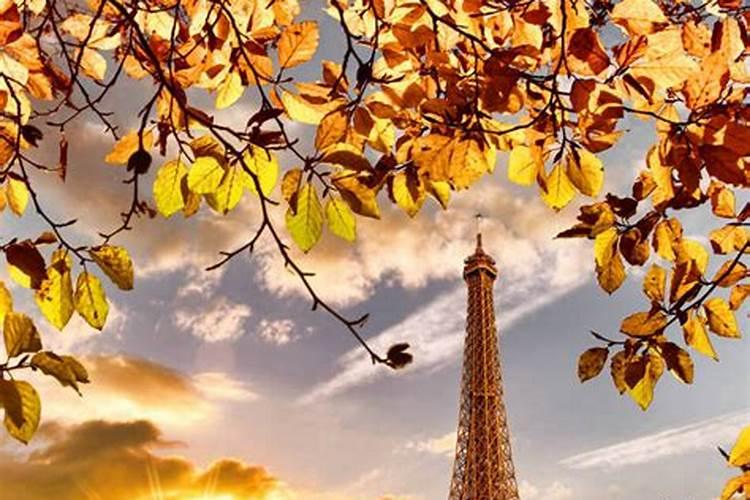 浅谈多肉植物长寿花怎么养