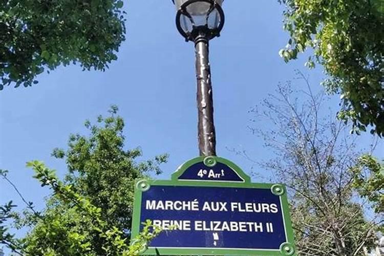 我的长寿花叶子很瘦是什么问题？