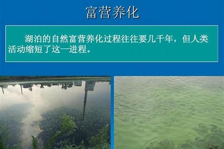 造成水体富营养化的原因是什么