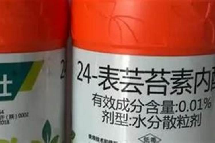芸苔素内酯内脂素可以灌根吗