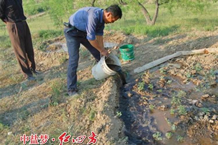 腐植酸肥料使用大忌