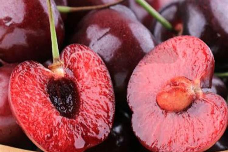 车厘子施肥时间和方法