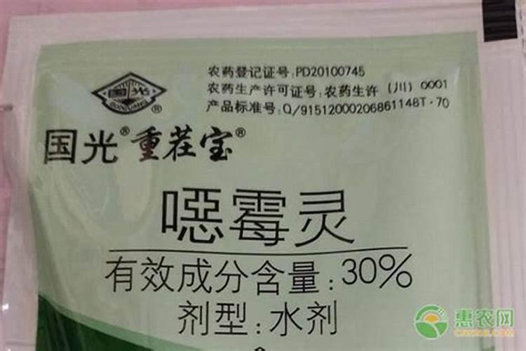 治疗根腐病的特效药