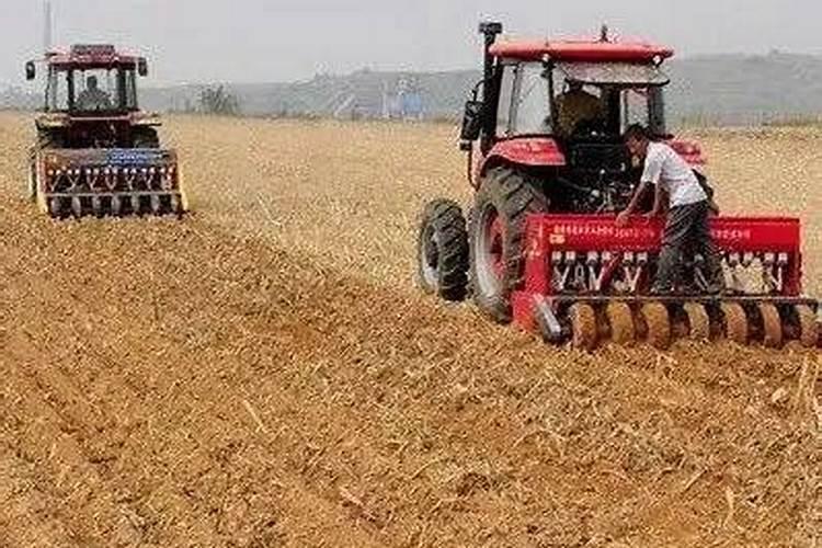 种小麦一亩地里须要多少化肥