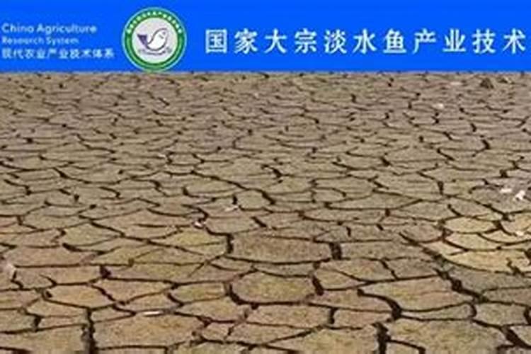 鱼蛋白肥料的功效与作用