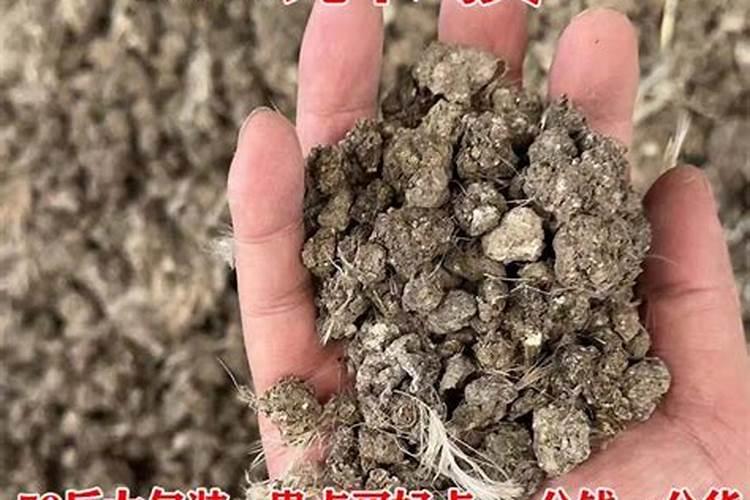 小鸟对人有哪些好处？