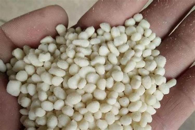 喜氮肥植物有哪些