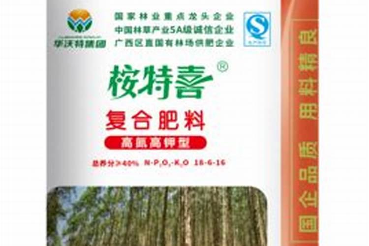 桉树一年施几次肥好