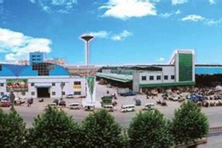 山东寿光温室辣椒活多少年了？