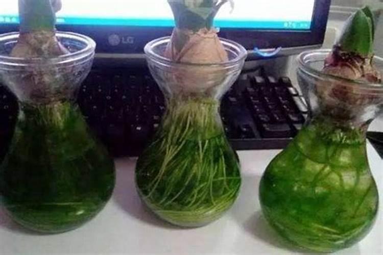 柑橘树上长青苔会影响柑橘的产量与质量,为什么会长青苔呢？