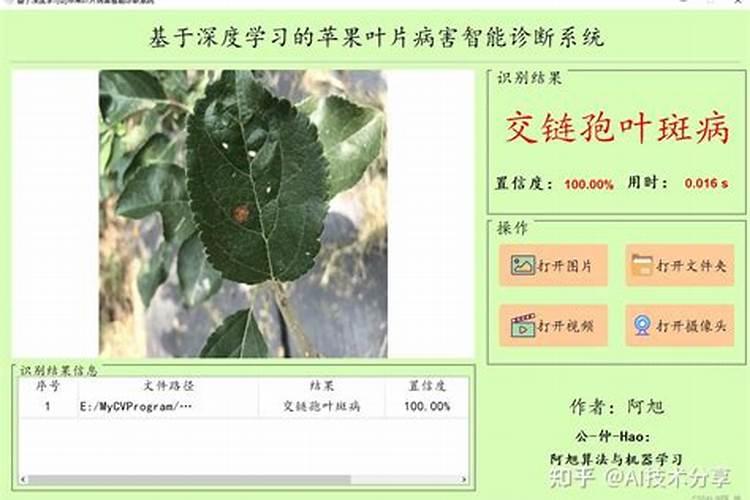 苹果树种植出现小叶病怎么办