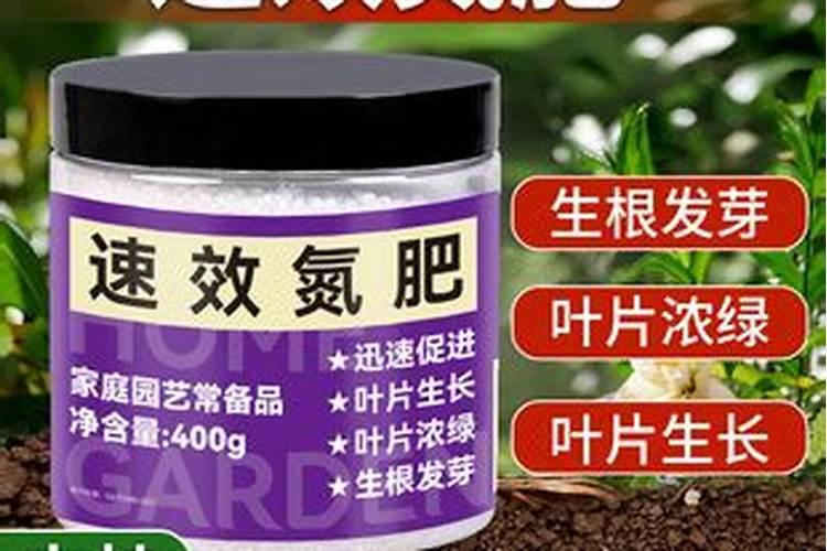 怎样让韭菜被割之后快速长出来？