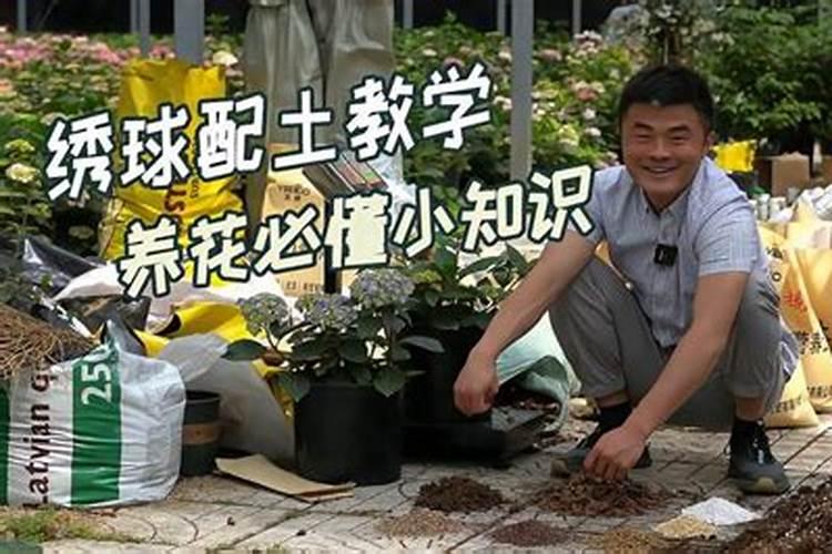 绣球花现在已经开花,应该用什么肥料好,不太懂