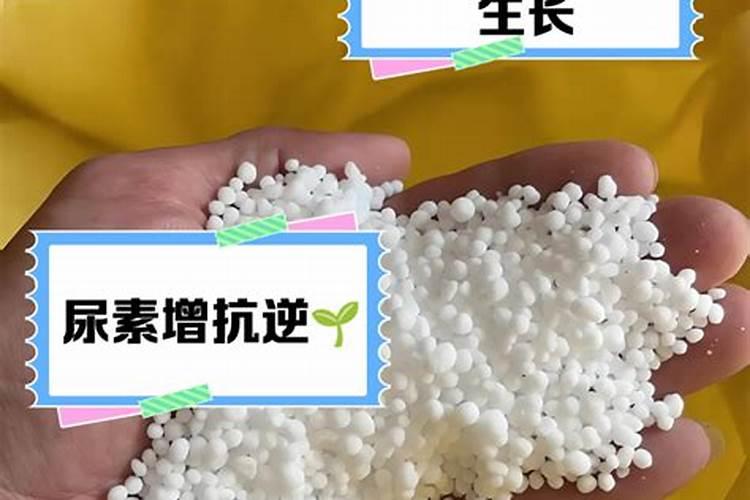 尿素多久施肥一次
