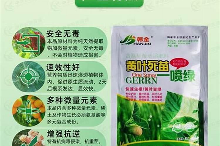 锌肥的作用及使用方法