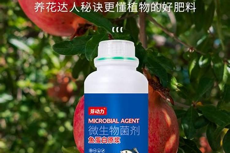 鱼蛋白液体肥使用方法