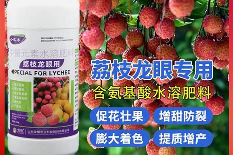荔枝梢期可以喷氨基酸叶面肥吗