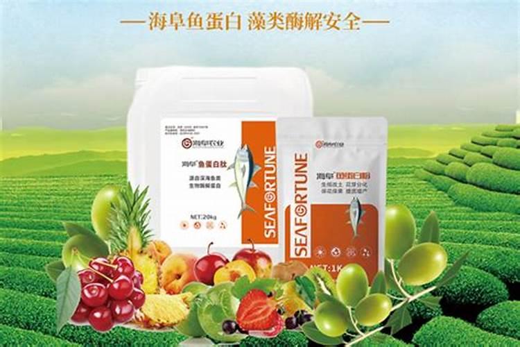 鱼蛋白肥料的使用技巧