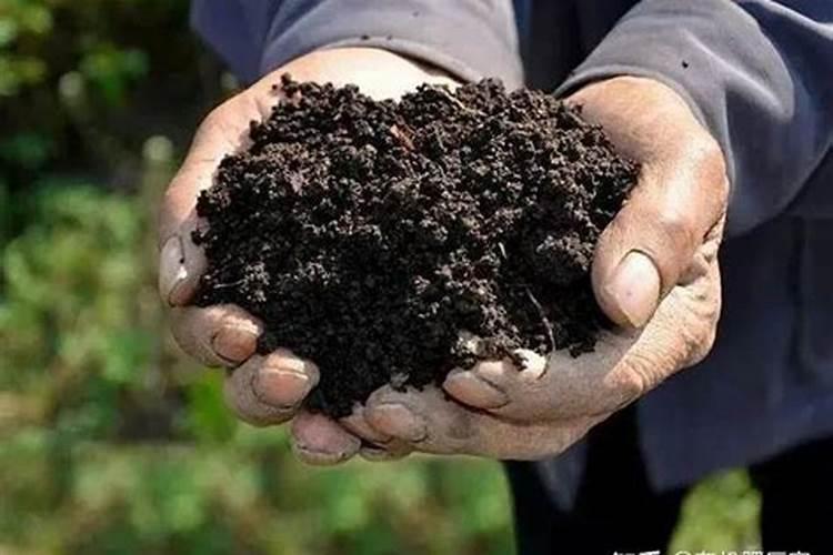 西瓜用中量元素肥一亩地用多少