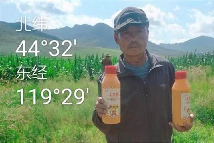 如何给酢浆草浇水？浇水有什么注意事项？