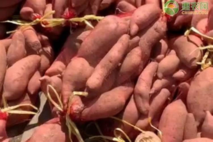 山东有什么农活？