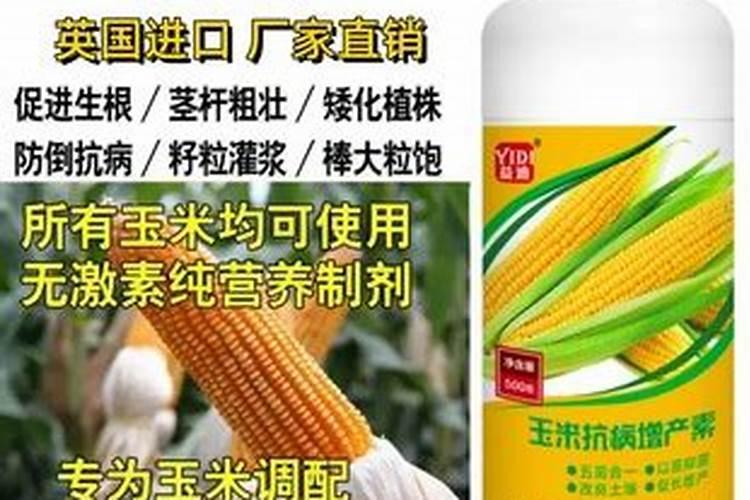 最贵的玉米叶面肥1000克的多少钱一瓶