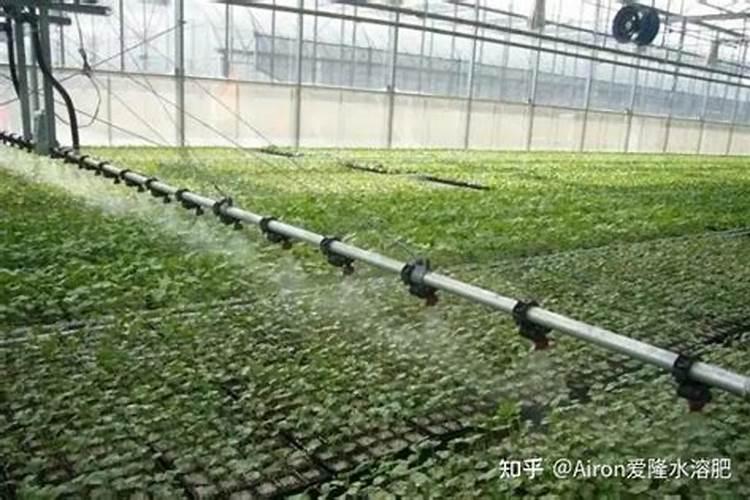 水溶肥执行标准是什么？