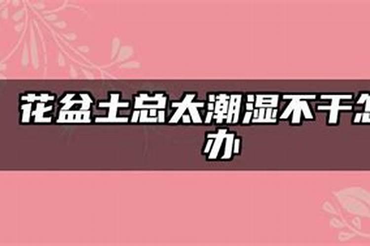 玉米田潮湿,撒尿素后十几个小时下大雨,尿素流失吗？