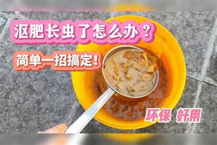 养蚯蚓忘了加盖子,长了好多肥白蛆怎么办？