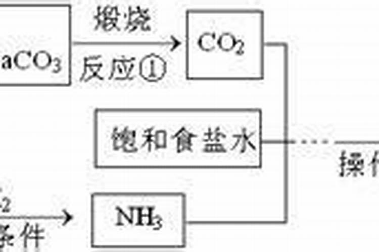 养蛆场散发臭味是怎么一回事