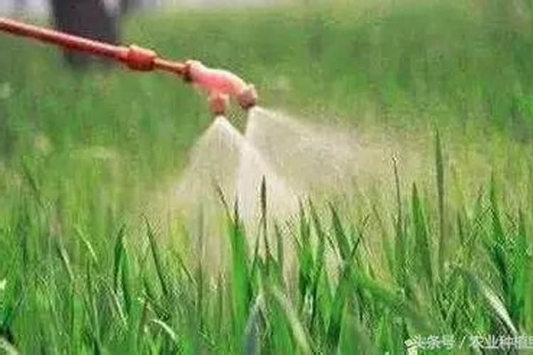 除草剂加尿素有什么作用