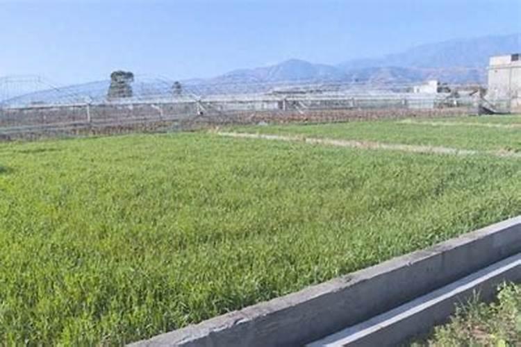 西昌市昌容实业有限公司怎么样？