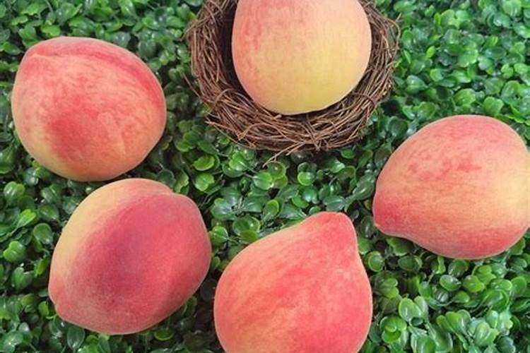 早桃五月施肥如何管理何管理