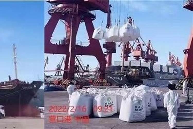 明斯克的经济部门