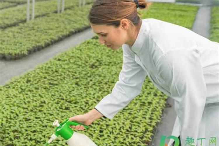 请问一下施加复合肥要用土盖住吗？还是是不是施了复合肥后尽量不要浇水...