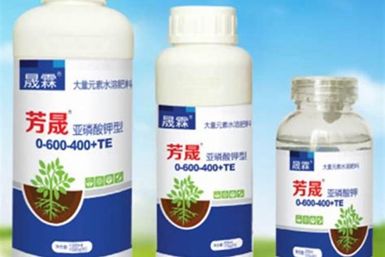 葡萄追肥用什么水溶肥好？膨果增甜的合适用量