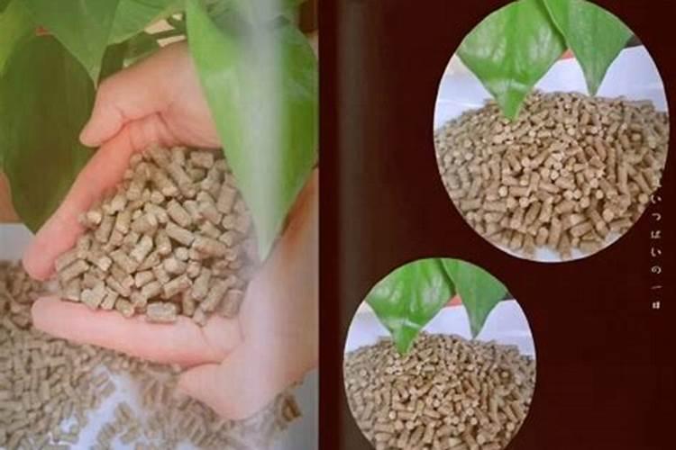 自己制作有机肥大豆,还是玉米好