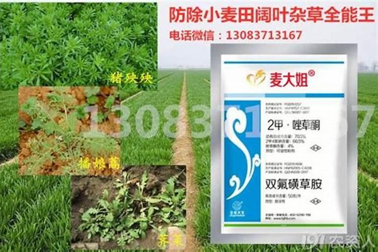 小麦除草剂能和叶面肥混合打吗