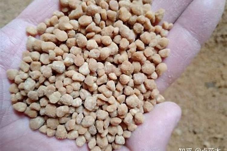 梨树最好三个肥料