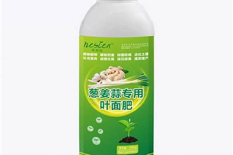 生姜用哪种水溶肥效果好？生姜什么时候用肥比较好？