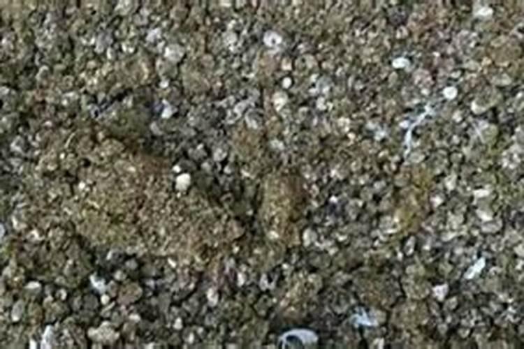 鸟粪可以做肥料吗