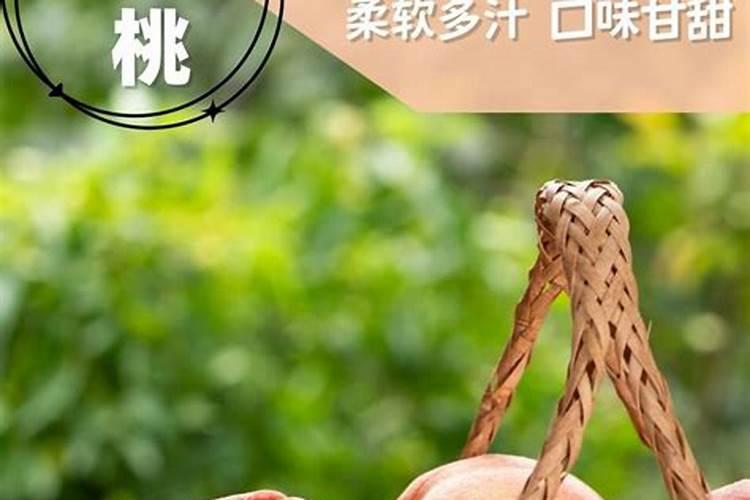 山东肥城特产:肥城桃
