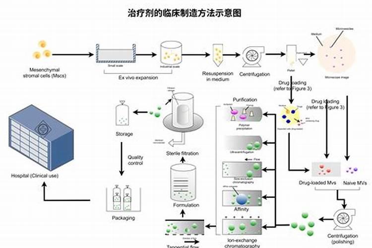 硼肥和钾肥对农作物有什么作用