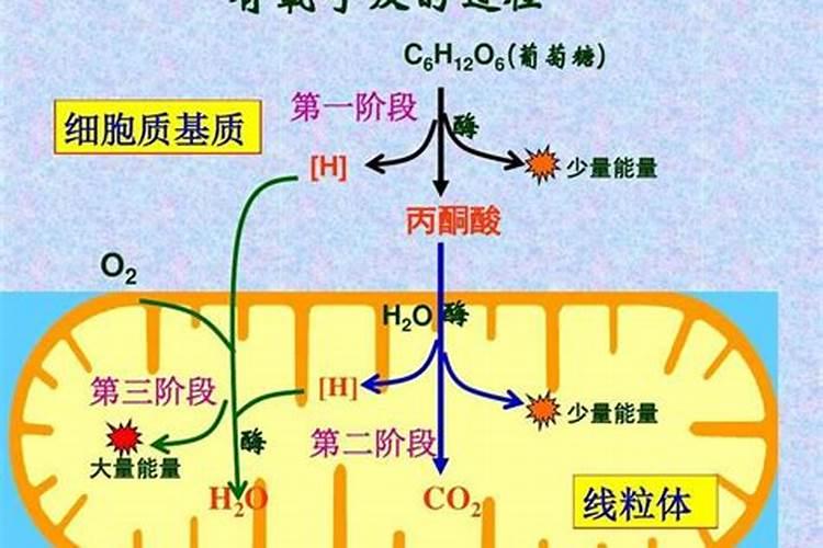水溶肥有什么作用和优点