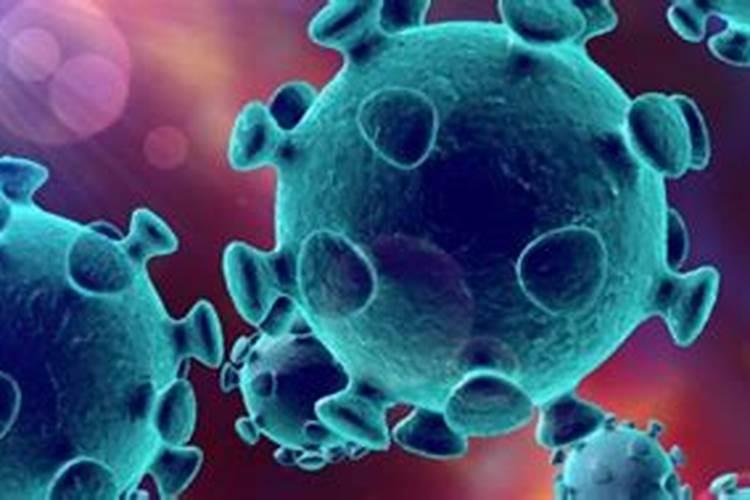 水温多少蛋白虫会死