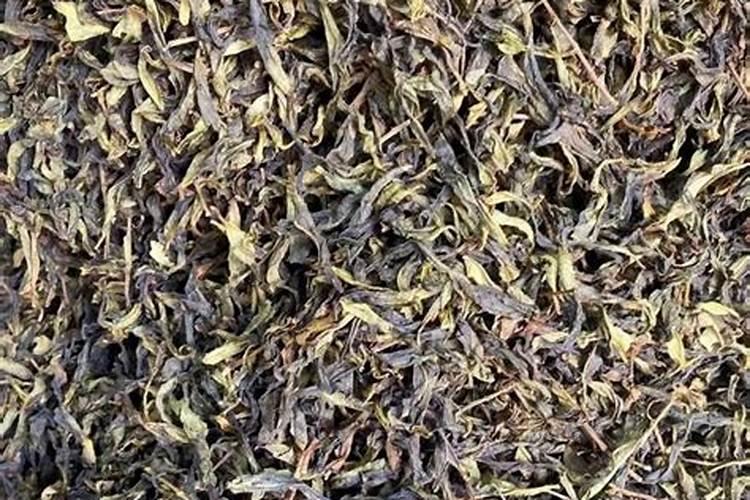 喝凤凰单丛茶好处(二)止渴生津