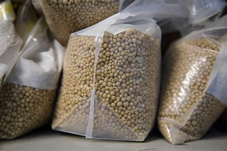 氮肥在水稻有什么作用