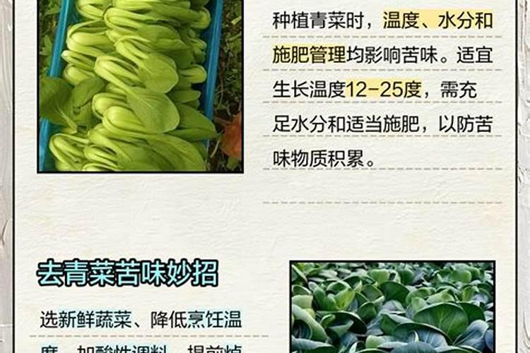 草酸钙结石可以吃这些青菜吗,油麦菜,青菜苔,圆白菜,生菜