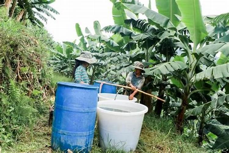 用什么手段能把厨余垃圾处理成可用的肥料